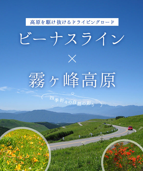 画像：ビーナスライン