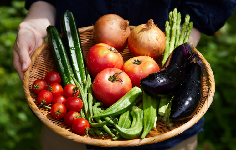 写真：高原野菜