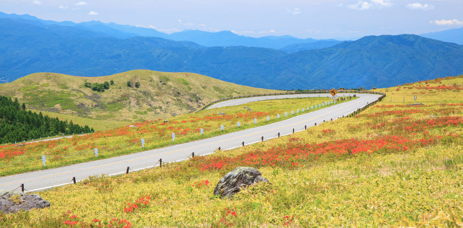 写真：霧ヶ峰高原(ビーナスライン)