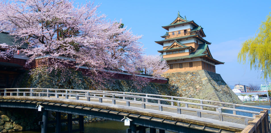 写真：高島城
